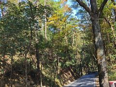 -南岳衡山风景名胜区