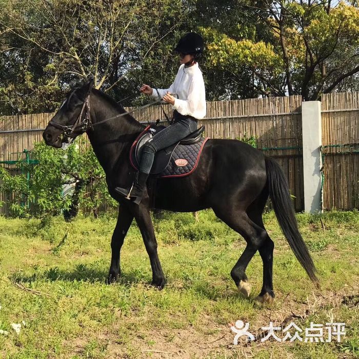 金海岸马术俱乐部