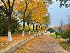 -北京国家会计学院