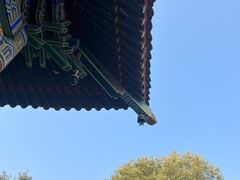 -西安大兴善寺