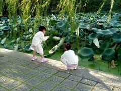 -西湖外事游船(花港观鱼码头)