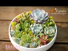 picture-潮中人·潮州菜(益乐路店)