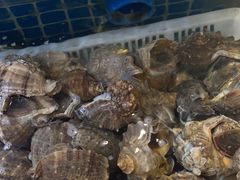 -老班长大酒店(海关大楼店)