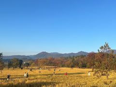 -塔川景区