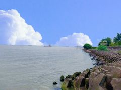 -上海滨江森林公园
