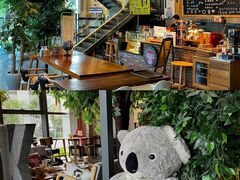 -了不起的考拉咖啡店(高新店)