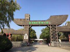 -溱湖国家湿地公园