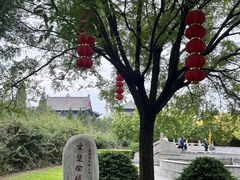 -大槐树寻根祭祖园
