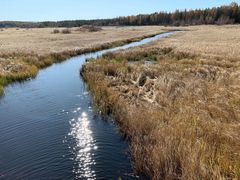 -塞罕坝国家级自然保护区