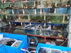 水产区-来之顺海鲜菜馆·青岛菜(栈桥店)