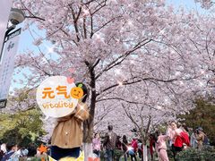 -堤角公园