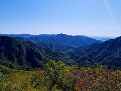 -大岭沟猕猴桃谷风景区