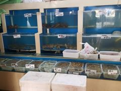 水产区-胶东海鲜大排档(北太平庄店)