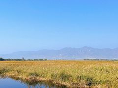 -野鸭湖国家湿地公园