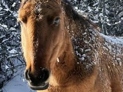 -太子岭滑雪场