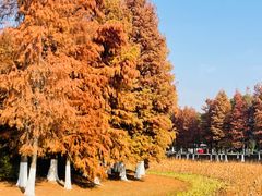 -昆承湖酒家·本帮农家菜