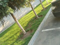 -长春市十一高中