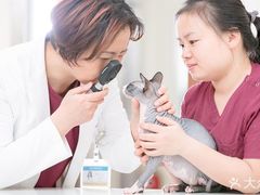 -艾贝尔宠物医院·24H转诊中心·肿瘤猫专科(江宁双龙店)