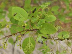 -鹫峰国家森林公园