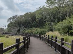 -羊山湖公园