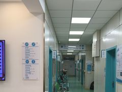 -北京观赏动物医院·24小时大型综合·猫专科·异宠专科
