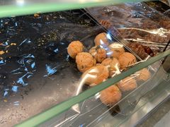 -都恩客(高岛屋百货店)