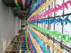 -亲兄弟真人CS团建拓展基地