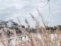 -美的鹭湖森林度假区