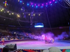 -俄罗斯国家大马戏团