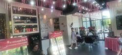 -风向标WIND VANE SALON