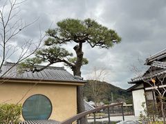 -中村藤吉(平等院店 )