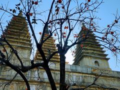 -北京石刻艺术博物馆(五塔寺)
