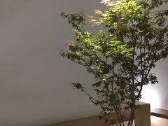 -光作面包Voila Lumiere(中山店)