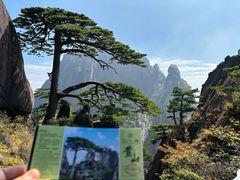 -黄山风景区