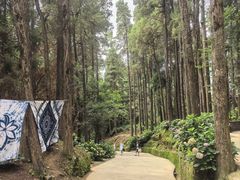 -寂照庵