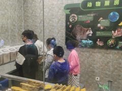 -MR.ZOO小小动物元室内动物园(沈阳沈河盛京中心)