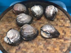 -港畔赶海蒸汽海鲜烧烤自助(仙螺岛店)