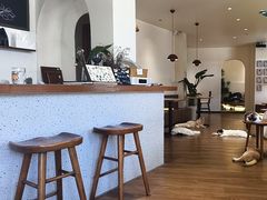 -有猫主题·治愈系猫咖(曾厝垵店)