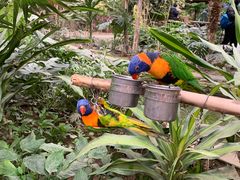 -南宫五洲植物乐园