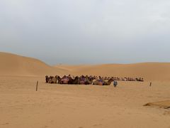 -银肯塔拉沙漠生态旅游景区