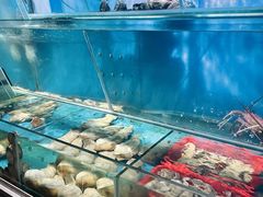 -鲜入围煮花胶鸡海鲜火锅
