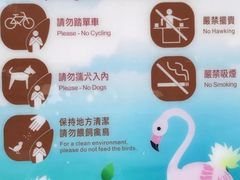 -九龙公园