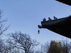 -杭州半山国家森林公园