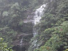 android_upload_pic-碧峰峡风景区