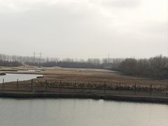 -溱湖国家湿地公园