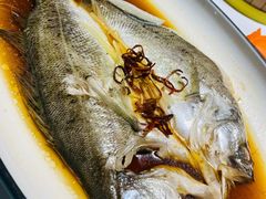 -直隶安家牛肉罩饼(建华店)