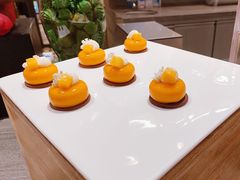 -食百绚全日制餐厅(成都棕榈泉费尔蒙酒店)