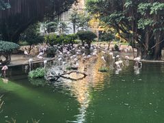 -九龙公园