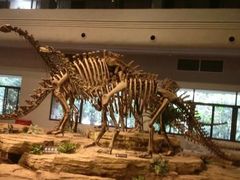 -自贡恐龙博物馆