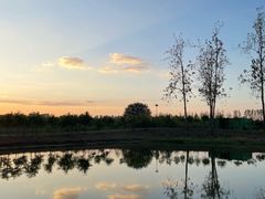 -合肥滨湖国家森林公园